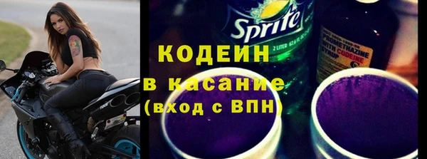 крисы Абаза
