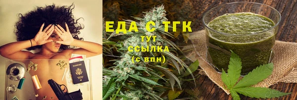 крисы Абаза