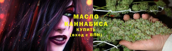 крисы Абаза