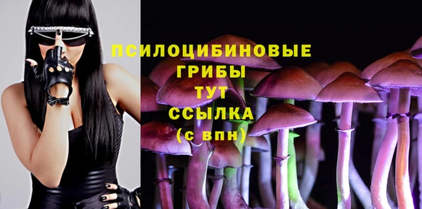 крисы Абаза