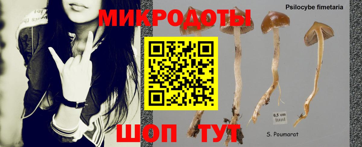 где продают наркотики  Вход с VPN  Иркутск  Псилоцибиновые грибы Magic Shrooms  Псилоцибиновые грибы Psilocybe 