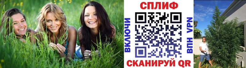 Шишки марихуана тримм Иркутск